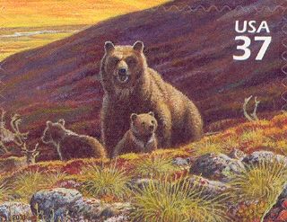 Grizzly Bear (Ursus arctos horribilis), Caribou (Rangifer ta