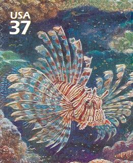 Red Lionfish (Pterois volitans)