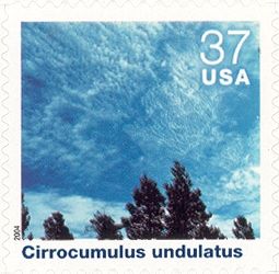 Cirrocumulus Undulatus