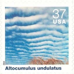 Altocumulus Undulatus