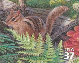 Eastern Chipmunk (Tamias striatus)
