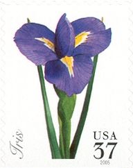 Iris