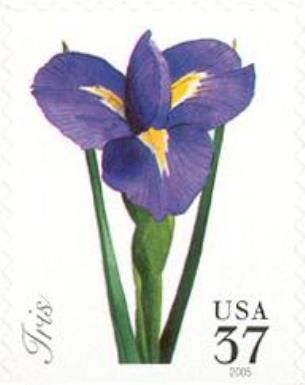 Iris