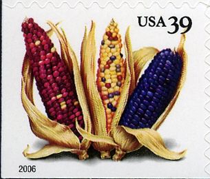 Corn (PSA CB)