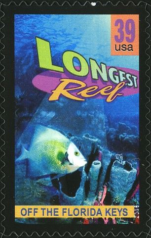 Off the Florida Keys, longest reef