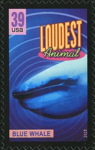 Blue Whale (Balaenoptera musculus), loudest animal