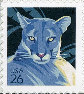 Florida Panther (Puma concolor coryi)