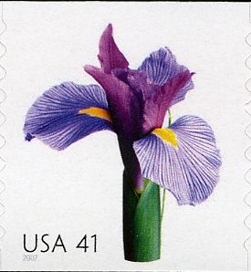 Iris