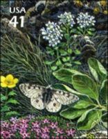 Rocky Mountain Parnassian (Parnassius smintheus), Alpine Pen