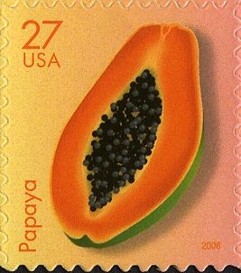 Papaya (Carica papaya)