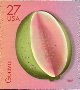 Tropical Fruits- Guava