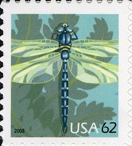 Dragonfly