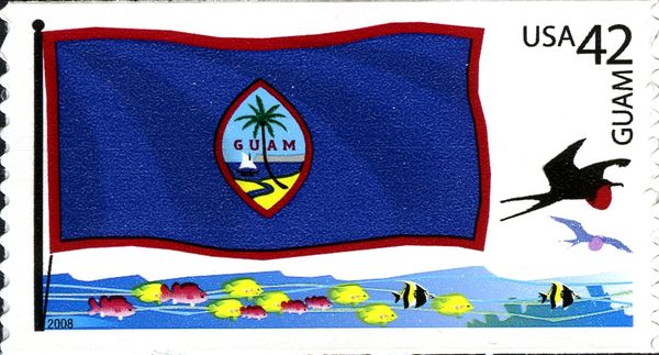 Guam flag, Great Frigatebird (Fregata minor)