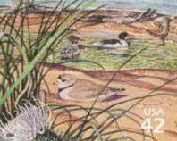 Common Merganser, Piping Plover, Pitcher's Thistle