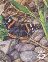 Red Admiral (Vanessa atalanta)