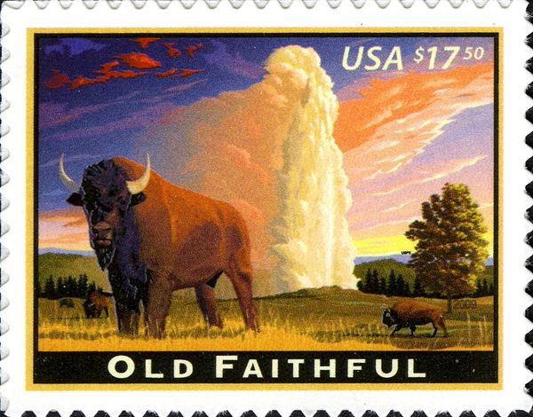 Geyser "Old Faithful" - American Bison (Bos bison)