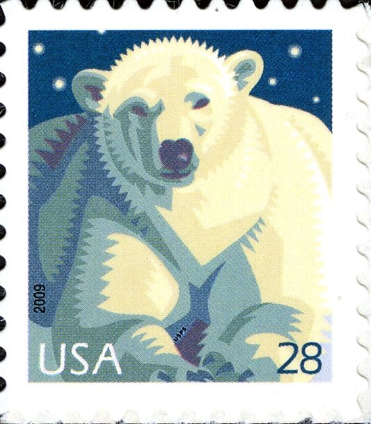 Polar Bear (Ursus maritimus)