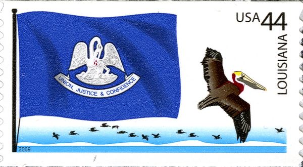 Louisiana flag, Brown Pelican (Pelecanus occidentalis)