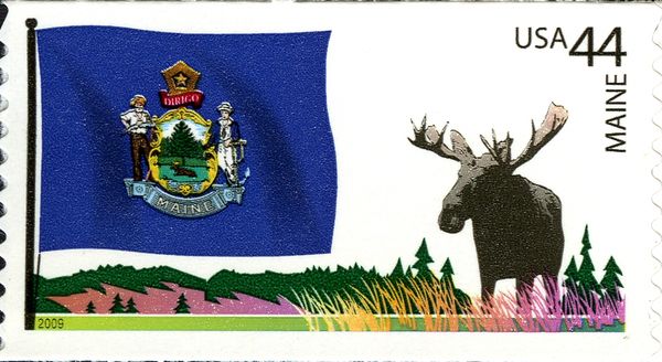 Maine, Moose (Alces alces)