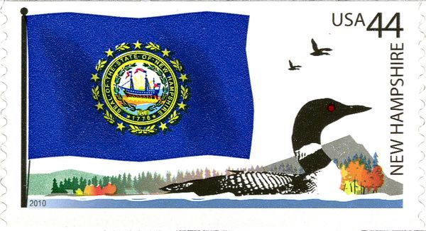 New Hampshire State Flag, Common Loon (Gavia immer)