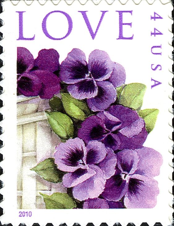 Love: Pansies in a Basket