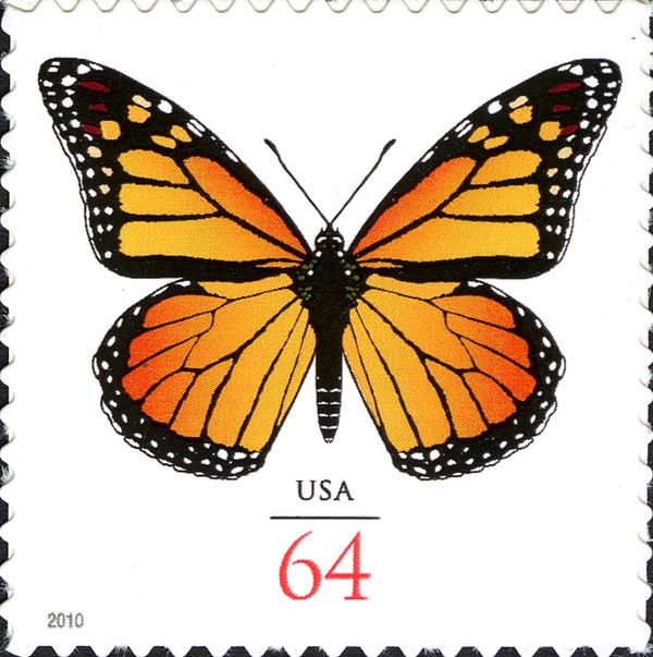 Monarch (Danaus plexippus)