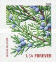 Eastern Red Cedar (ATM bklt)