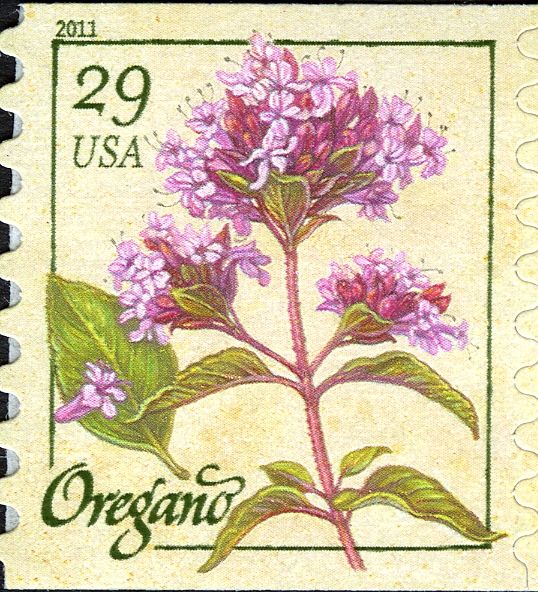 Oregano (coil)