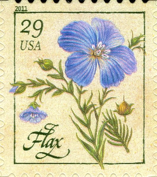 Flax (from pane)