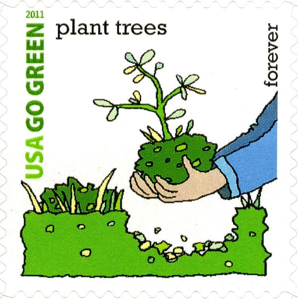 Go Green: Plant Trees