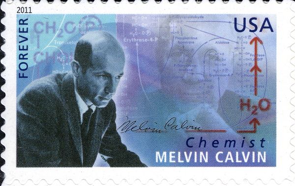 Scientists: Melvin Calvin