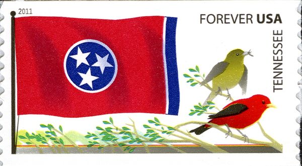 Tennessee State Flag, Scarlet Tanager (Piranga olivacea)