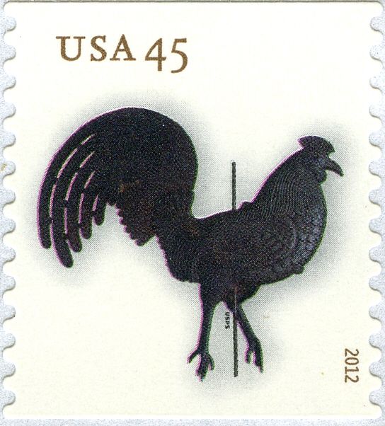 Rooster without perch