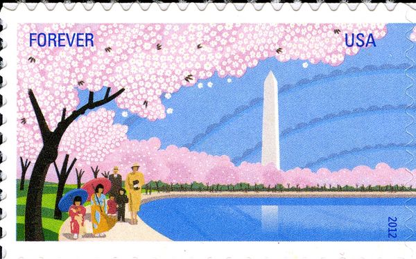 Cherry Blossoms & Washington Monument