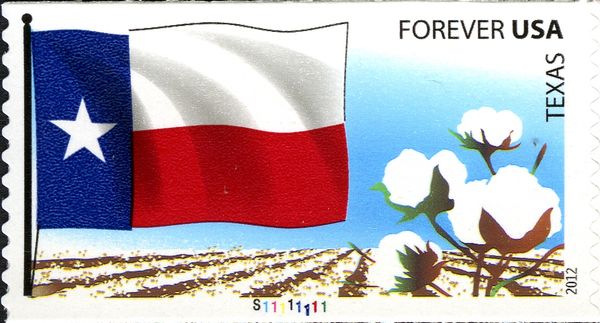 Texas State Flag