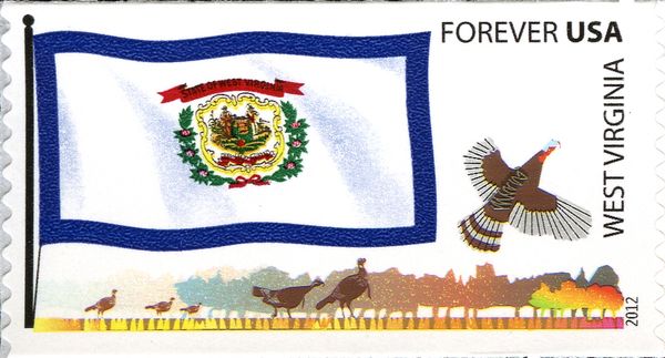 West Virginia flag, Wild Turkey (Meleagris gallopavo)