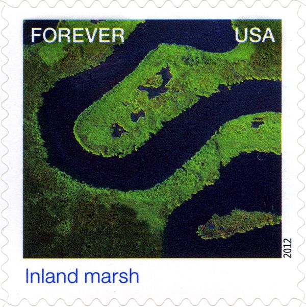 Earthscapes: Inland marsh
