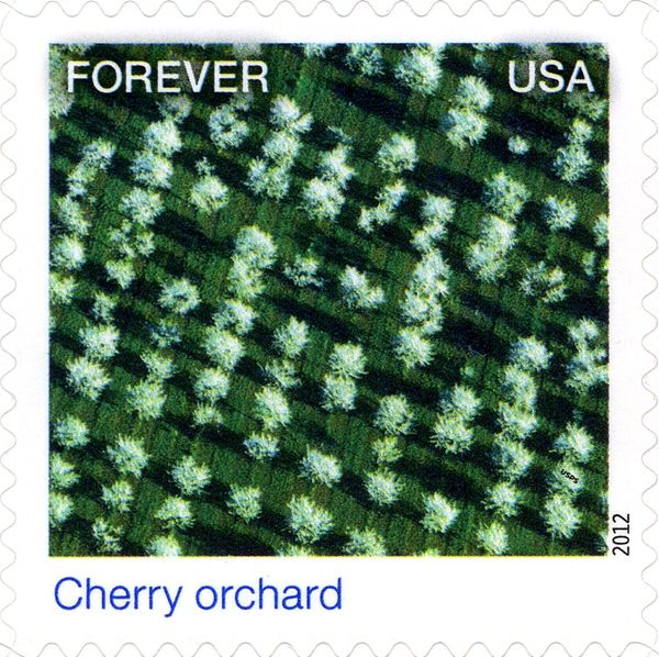 Earthscapes: Cherry orchard