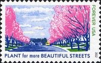 Beautiful Streets