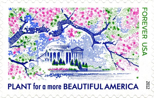 Beautiful America