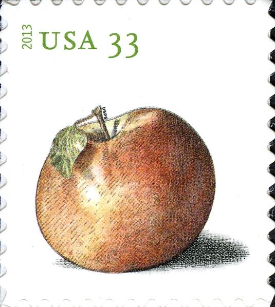 Apples: Northern Spy