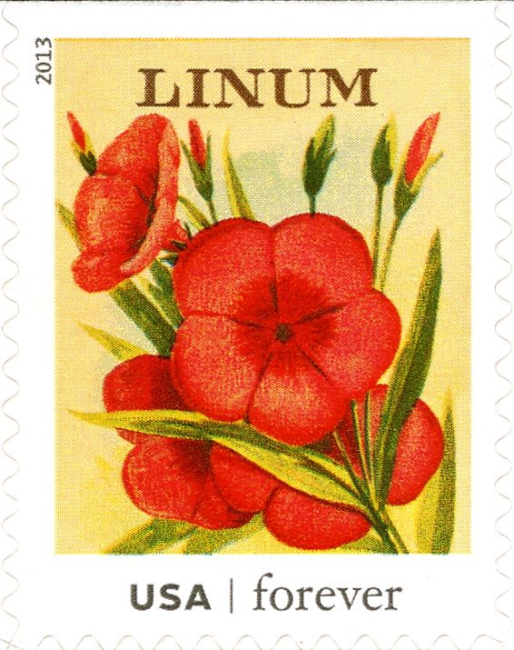 Seed Packets: Linum