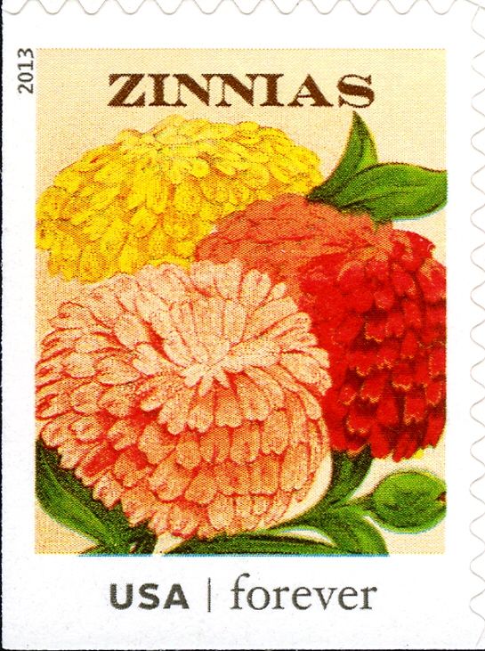 Seed Packets: Zinnias