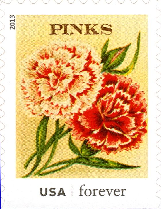 Seed Packets: Pinks