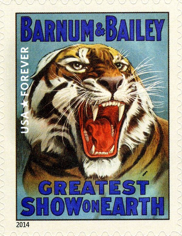 Barnum & Bailey - Tiger (Panthera tigris)