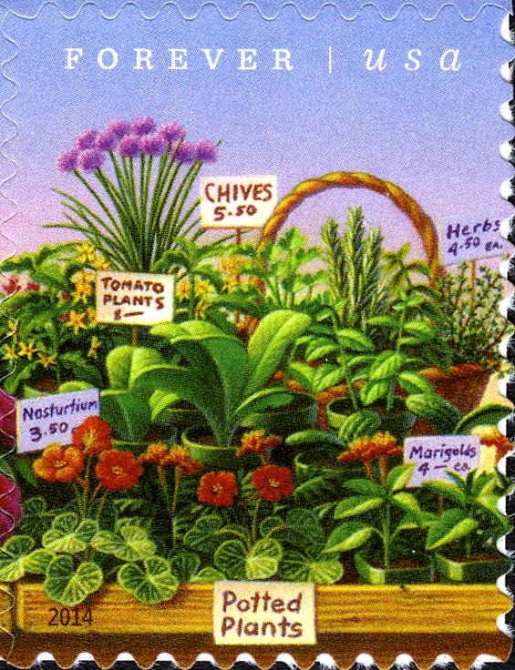 Farmers Market: Herbs