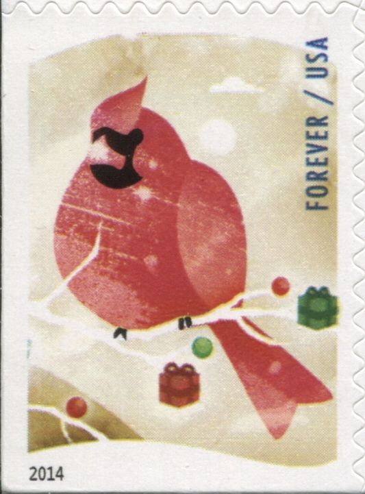 Northern Cardinal (Cardinalis cardinalis)