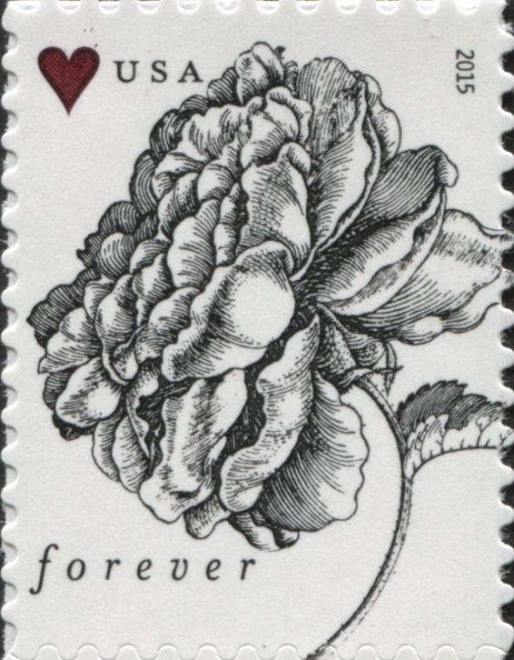 Vintage rose