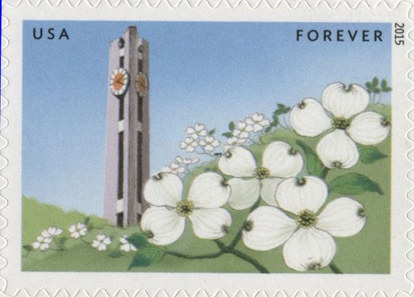 Clock Tower and Dogwood Blossoms