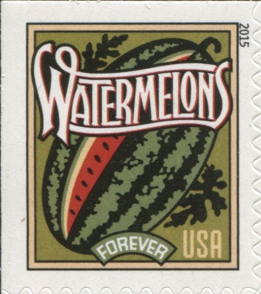 Harvest: Watermelons